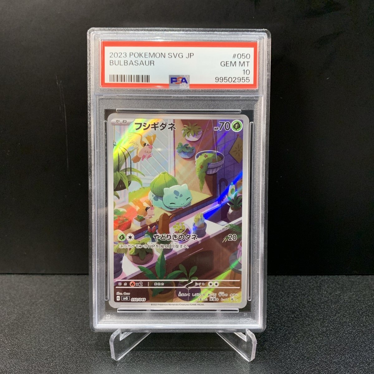 Pokemon PSA 10 Sequenziali Bulbasaur, Charmander, Squirtle JP – Foto 2